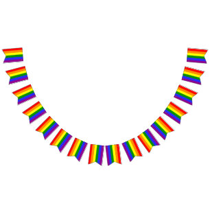 6 Färg Pride Flagga Bunting Banner HGBT Party