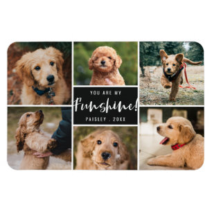 6 Fotokollage du är min Funshine   Svartvit Magnet