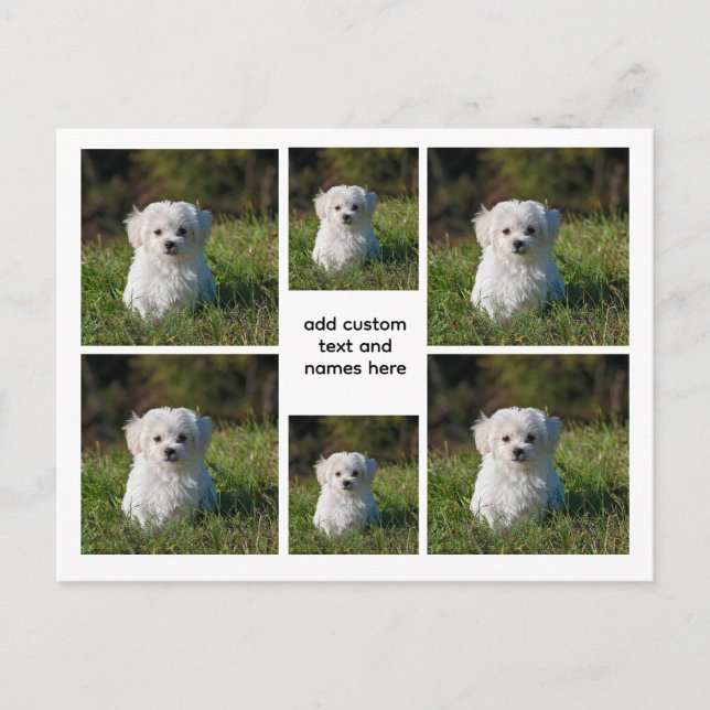 6 Fotokollage - Vit rutnätsbedövning, minimal Vykort (Framsida)