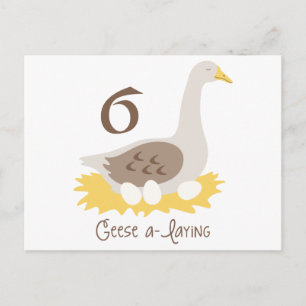 6 Geese A-Layed Vykort