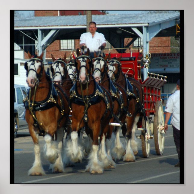 6 häftklämma poster (Framsidan)