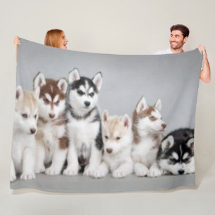 6 HUSKY PUPPIES FLEECEFILT
