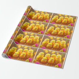 6 Little Påsk Chick Collection Presentpapper