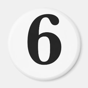6 MAGNET