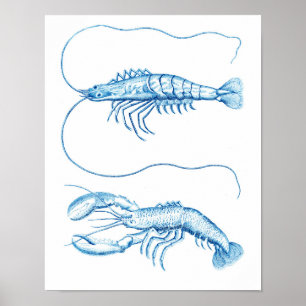 6 Nautisk dekret för kustkonst blå kräftdjur Poster