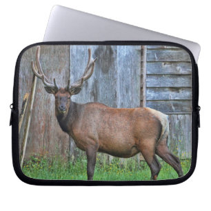 6 peka tjurälgfotoet laptop sleeve