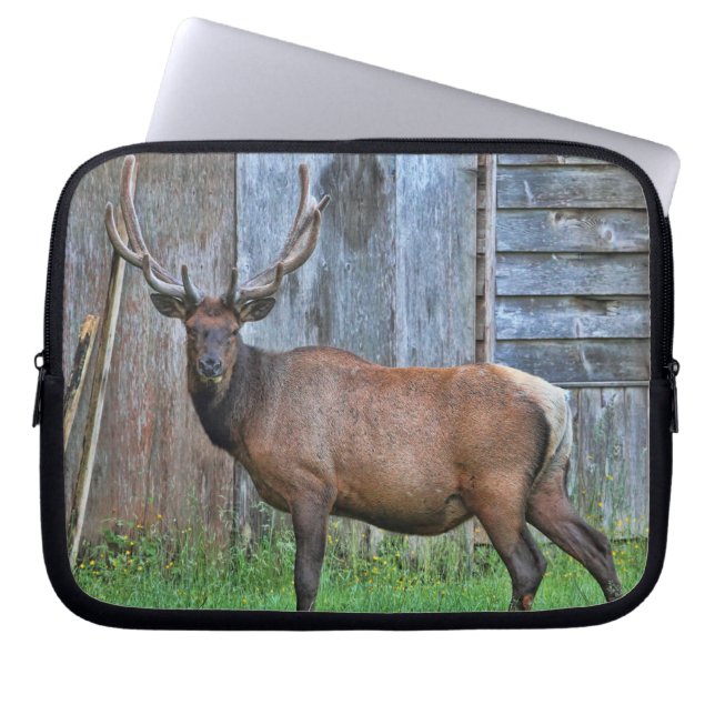 6 peka tjurälgfotoet laptop sleeve (Framsidan)