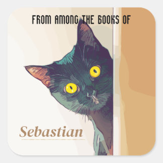 6 Personlig bokskylt/namnskylt med Kat Motif Fyrkantigt Klistermärke