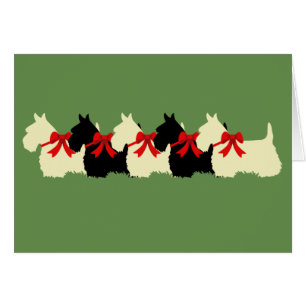 6 Skotska terrier svart/pipande/pipande/blanka Hälsningskort
