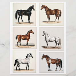 6 Vackra Horse Illustrations for Papercrafts
