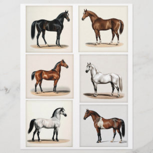 6 Vackra Horse Illustrations for Papercrafts