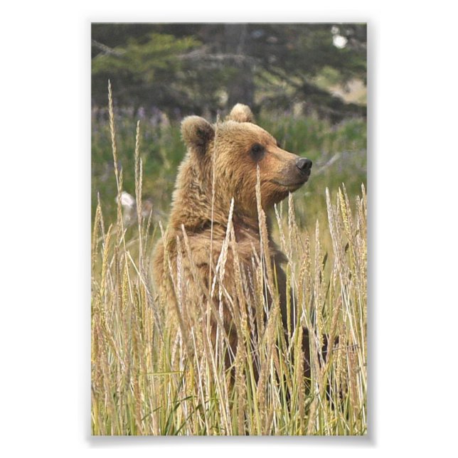 6 x 4 foto av (Framsidan)