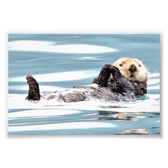 6 x 4-foto av otters fototryck (Framsidan)