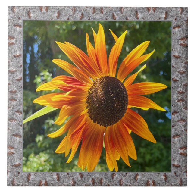 6"x 6" keramiskt plattor med Cheerful Orange Solro Kakelplatta (Framsidan)
