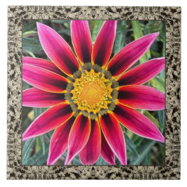 6" x 6" keramiskt plattor med Magenta Gazania Kakelplatta