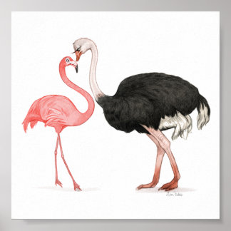 6 x 6 Love birds Skriv ut Poster