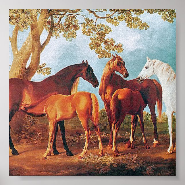 6a Mares and Foals Poster (Framsidan)