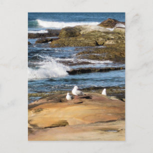 #7001 Strand vykort