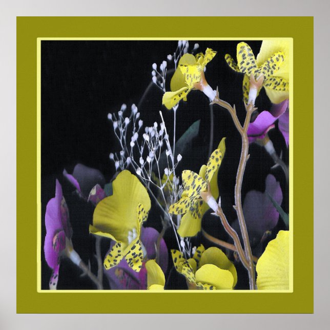 7005a. poster (Framsidan)