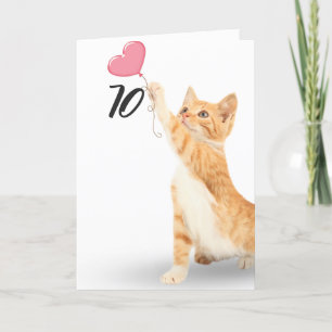 70-årsdagen tabby katt kort