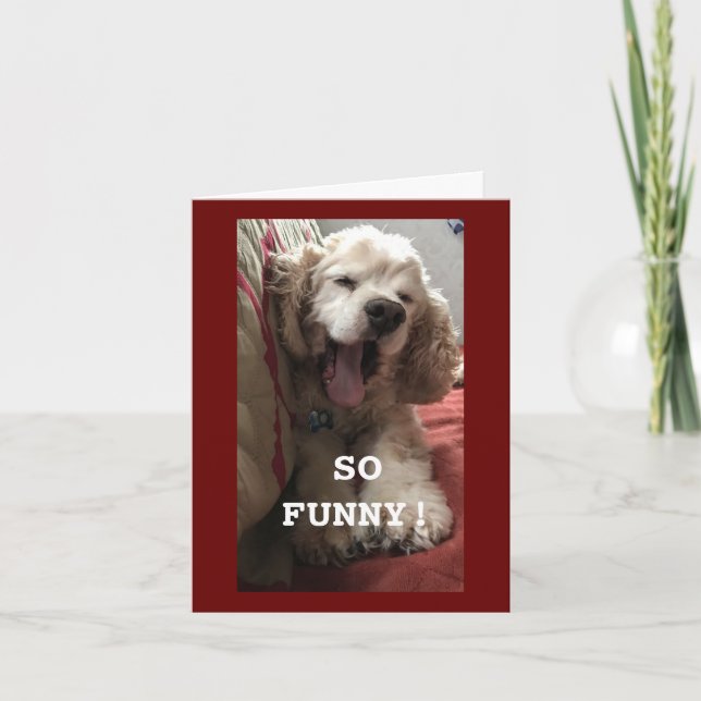 **70 BIRTHDAY WISH FRÅN COMEDIC SPANIEL**-kort Kort (Framsida)