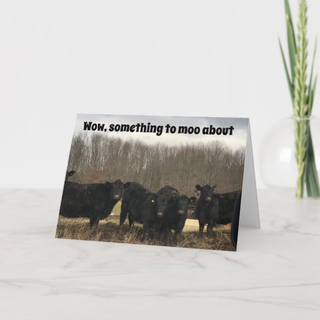 **70:e* BIRTHDAY ÄR NÅGOT SOM KRÄVS AV "MOO ABOUT" Kort (Framsida)
