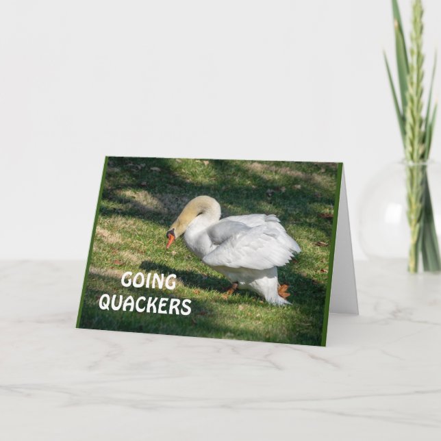 *70:e* BIRTHDAY-GOING QUACKERS-KAN INTE VARA SANT Kort (Framsida)