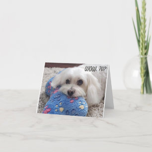 *70:e BIRTHDAY* HA HA HA (ROLIG HUND HUMOR) kort