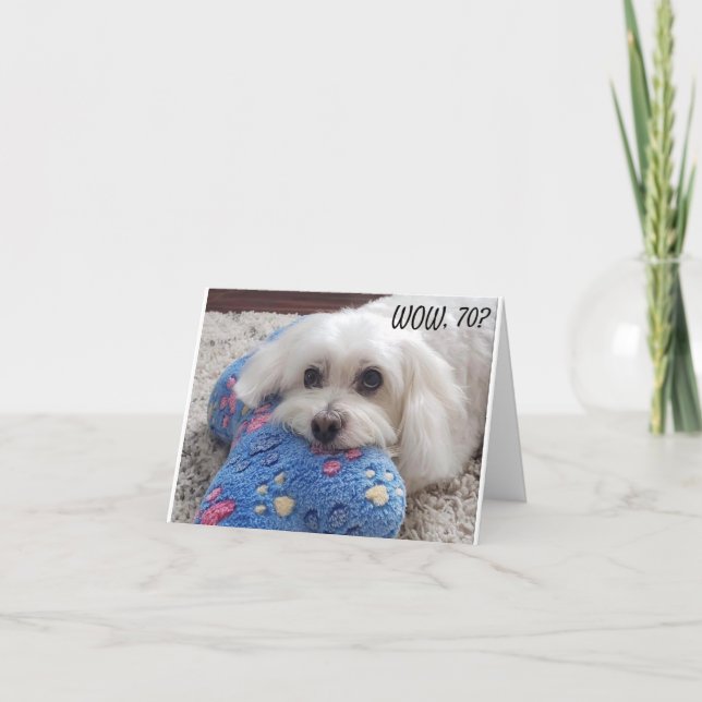*70:e BIRTHDAY* HA HA HA (ROLIG HUND HUMOR) kort (Framsida)