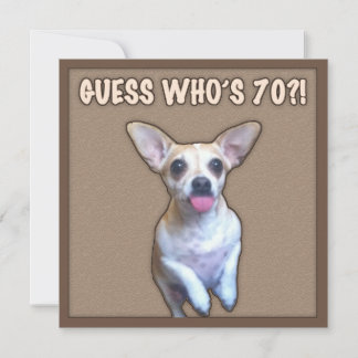 70:e födelsedagen Humor (Hund) Kort