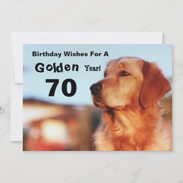 70:e gyllene Årets födelsedag Golden Retriever Car Kort (Framsida)