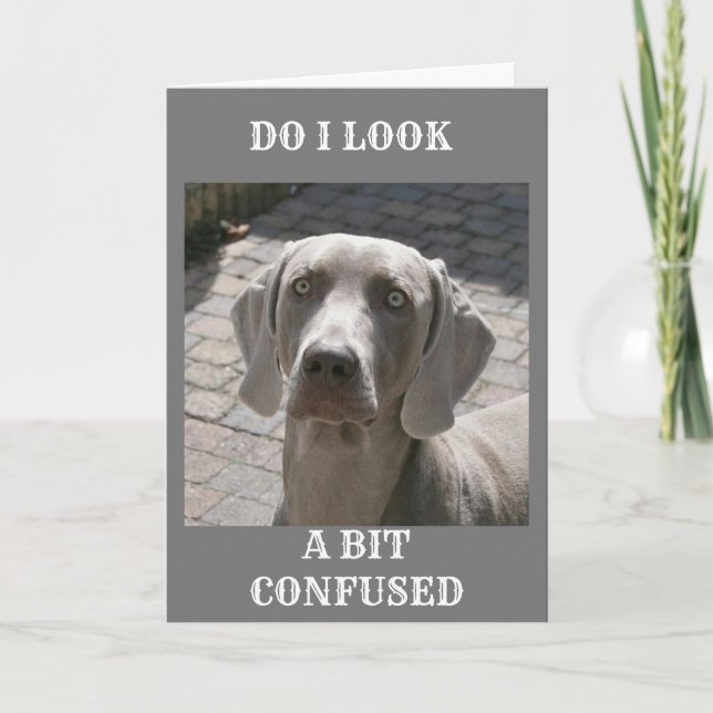 "70" HUR KAN DET SÄGAS WEIMARANER KORT (Framsida)