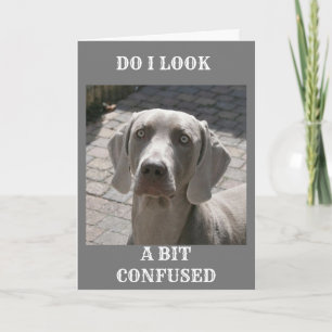 "70" HUR KAN DET SÄGAS WEIMARANER KORT