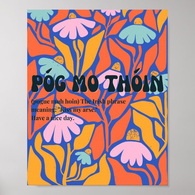 70-talsinspirerad irländsk Póg mo thóin-affisch  Poster (Framsidan)
