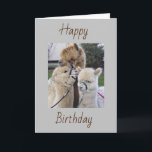 **70th** BIRTHDAY WISHES - SPECIAL FOR "YOU" Card Kort<br><div class="desc">CUTE CARD FOR ANY FAMILY MEMBER OR GOOD FRIEND FOR SURE and THANKS FOR STOPPING BY ONE OF MY 8 STORES. AND DON'T FORGET,  YOU CAN CHANGE THE "AGE" AND THE VERSE INSIDE AND OUT!</div>