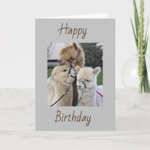 **70th** BIRTHDAY WISHES - SPECIAL FOR "YOU" Card Kort