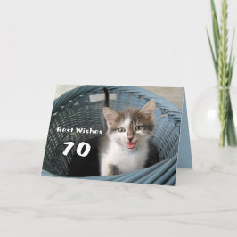 70th Galen kattunge för födelsedag Kort