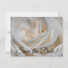 7127-Vit ros med Dew Vykort