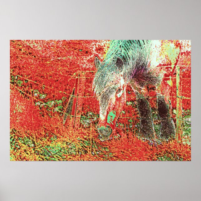 73 POSTER (Framsidan)