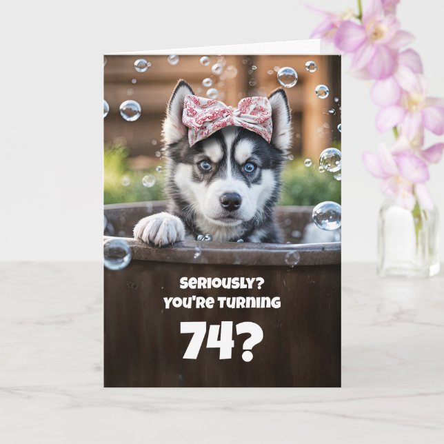 74th Funny Husky Bath Cute Birthday Kort (Orkide)