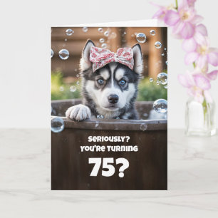 75-års rolig husky hund bad kul födelsedag kort
