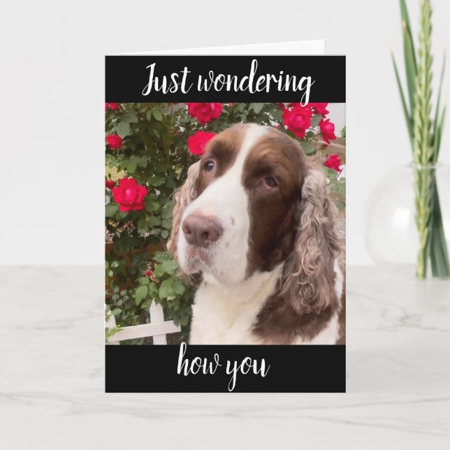 **75:e OCH DU ÄR FABULÖSA** ALLTID! BIRTHDAY CARD Kort (Framsida)