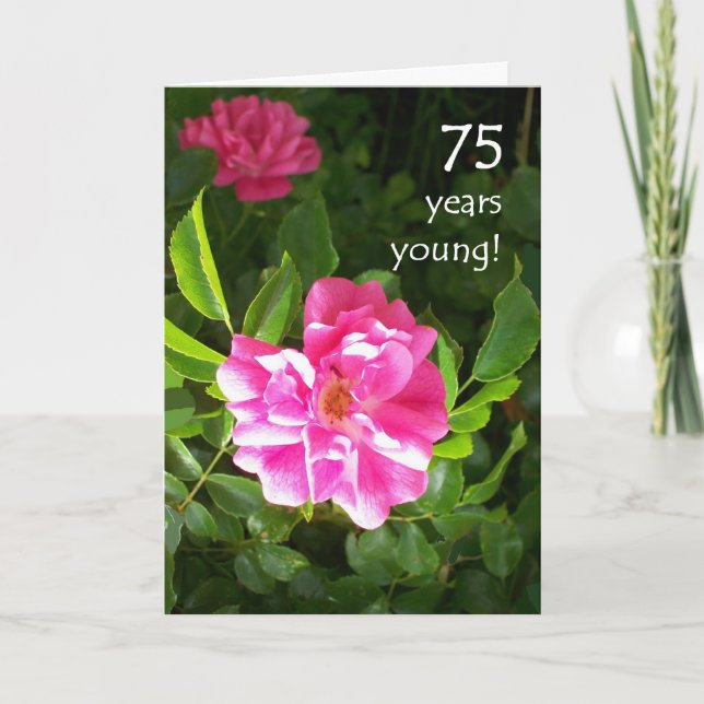 75:efödelsedagkort - rosa ros kort (Framsida)