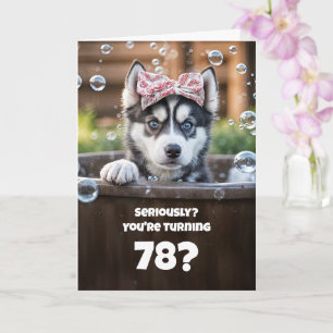 78-års födelsedag är söt och rolig för huskyhund kort