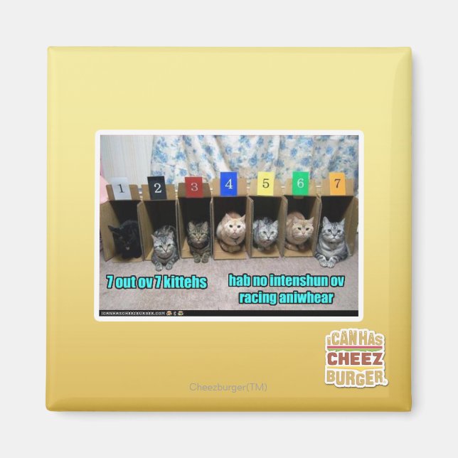 7 av 7 kitteater magnet (Framsidan)