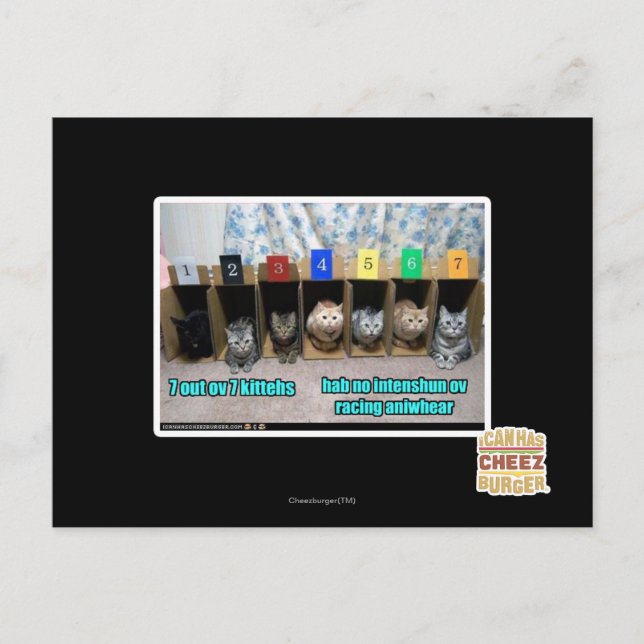 7 av 7 kitteater vykort (Framsida)