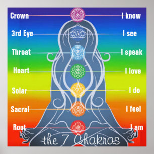 7 Chakras 24 x 24-tums Poster