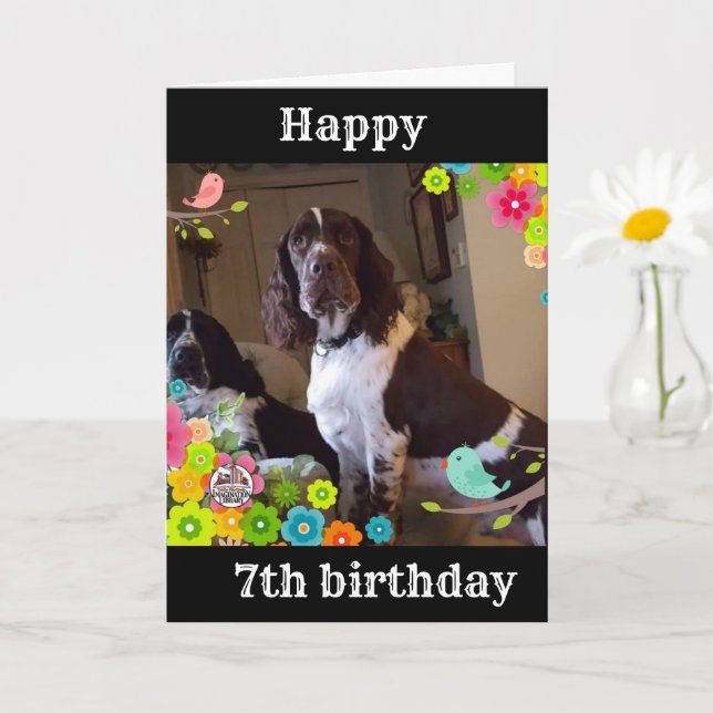 **7:e BIRTHDAY ÄR ETT "COOLEST"-KORT NÅGON GÅNG Kort (Liten växt)