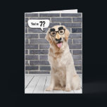 7:e Birthday Funny Golden Retriever Kort<br><div class="desc">Golden-hämtaren bar en lustig mustasch mask på grått brickvägg och trä golv med tal bubbla för 7:e födelsedag. Kan ändras för vilken ålder som helst. Text kan redigeras.</div>