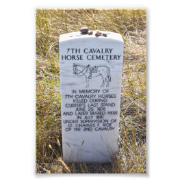 7:e Cavalry Horse Cemetery Memorial Fototryck